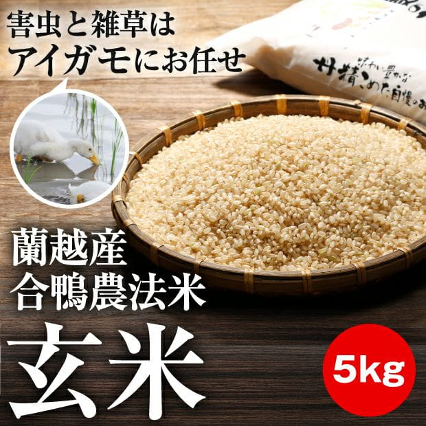 らんこし米 合鴨農法米 【玄米】