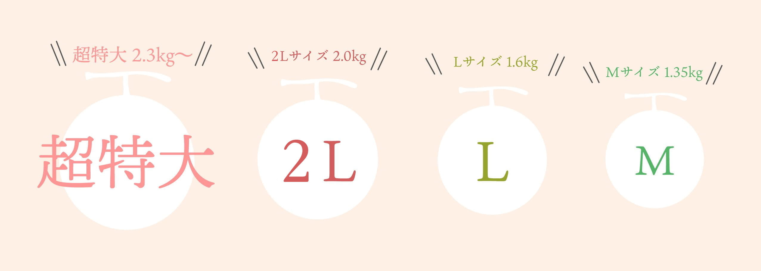 富良野メロン特集 メロンの大きさで味や甘さは変わりません