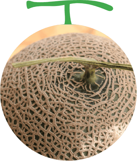 食べレア北海道 食べ頃になるまでは常温保存