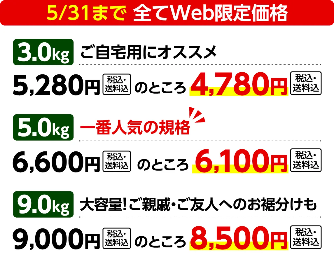 全てweb限定価格