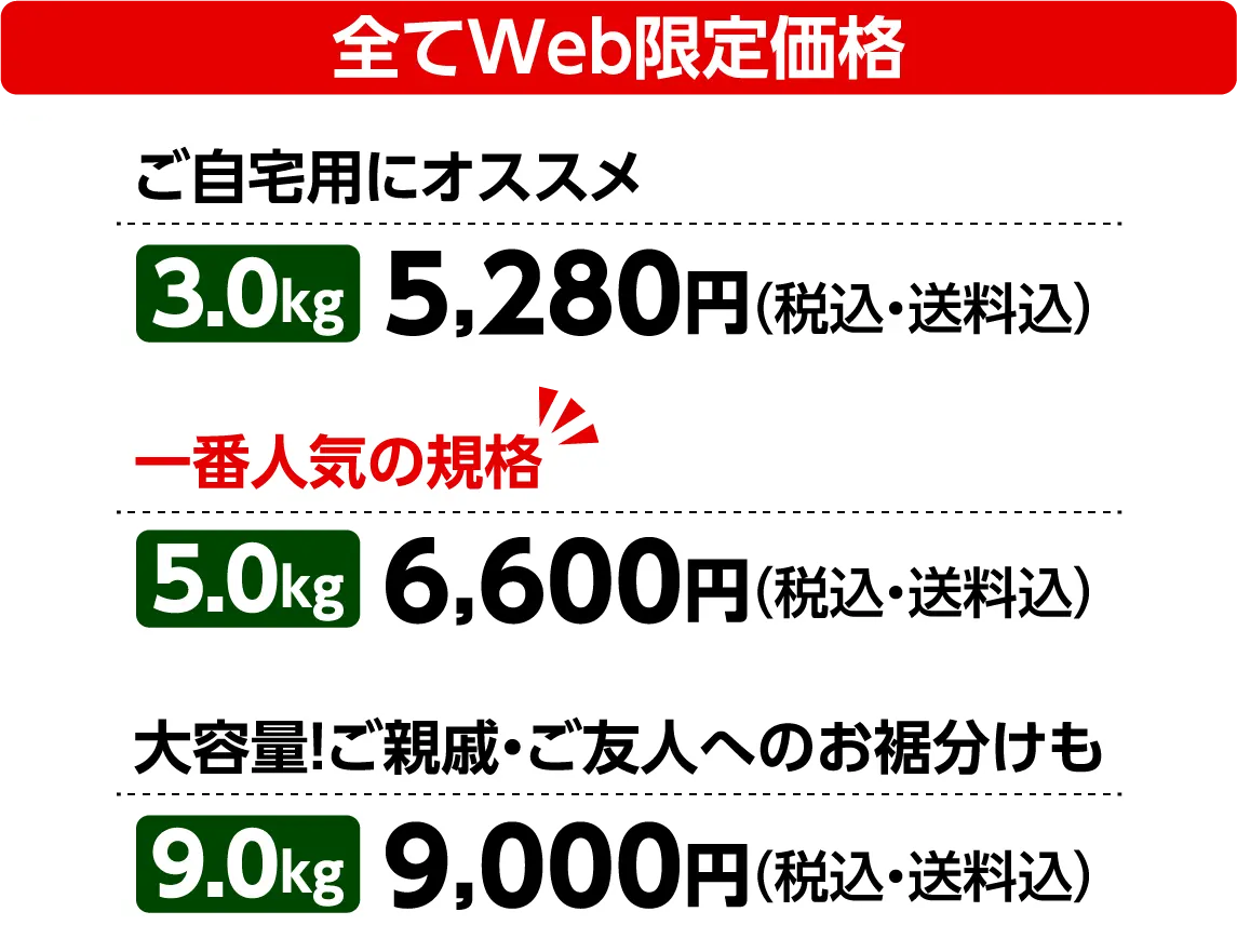 全てweb限定価格