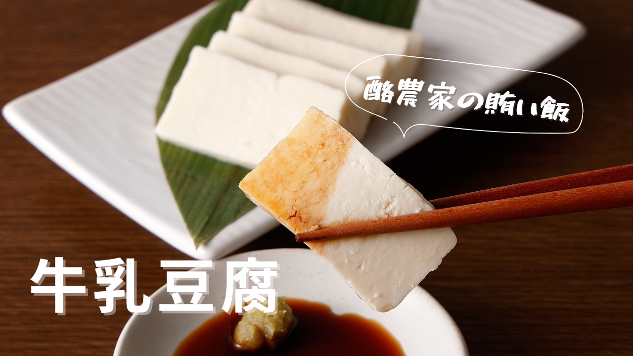 北海道の隠れた逸品！伝統の「牛乳豆腐」とは？初乳から作られる栄養満点のレア食品を紹介