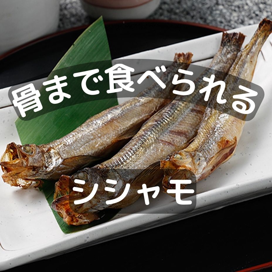 世界中の海でも、北海道東海岸でしか獲れない日本固有の魚「シシャモ」