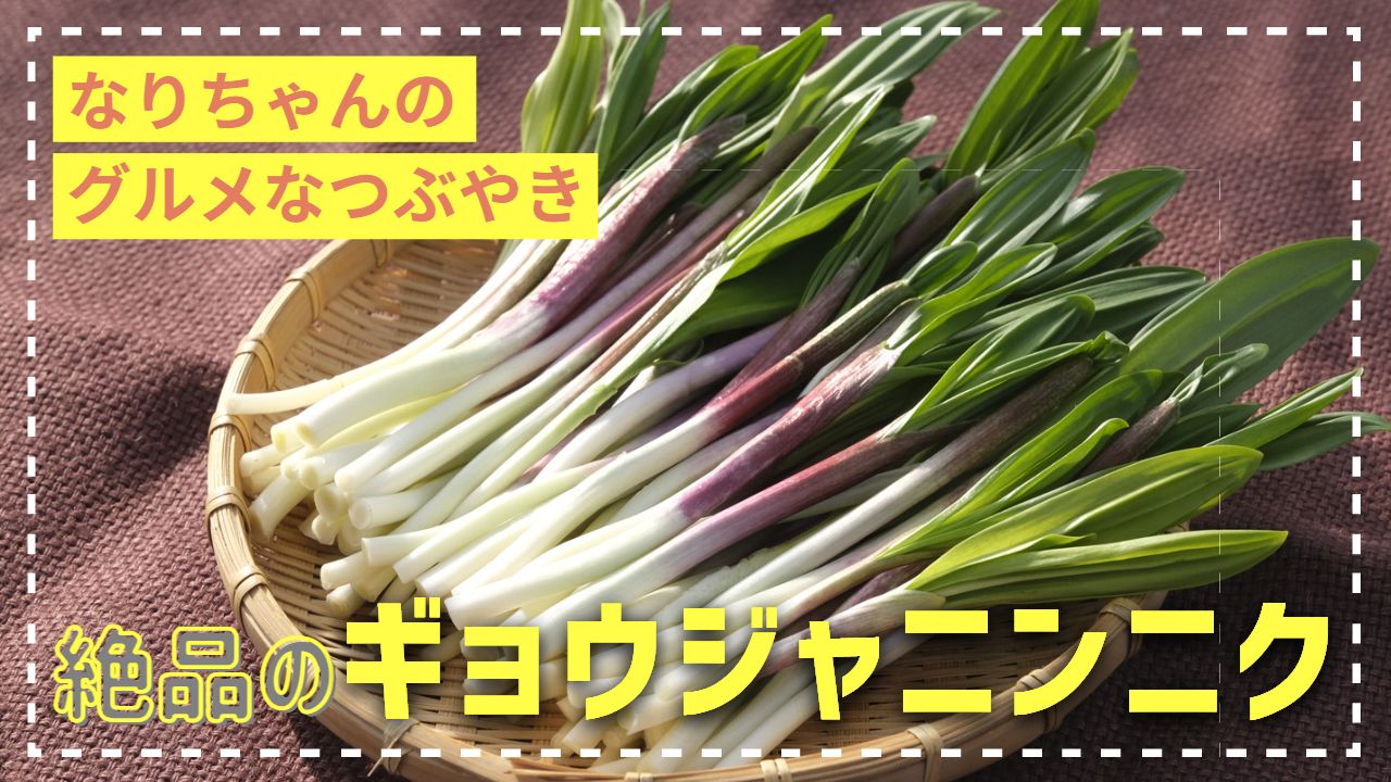山菜は「採る」から「育てる」へ。絶品のギョウジャニンニク | 食べ 