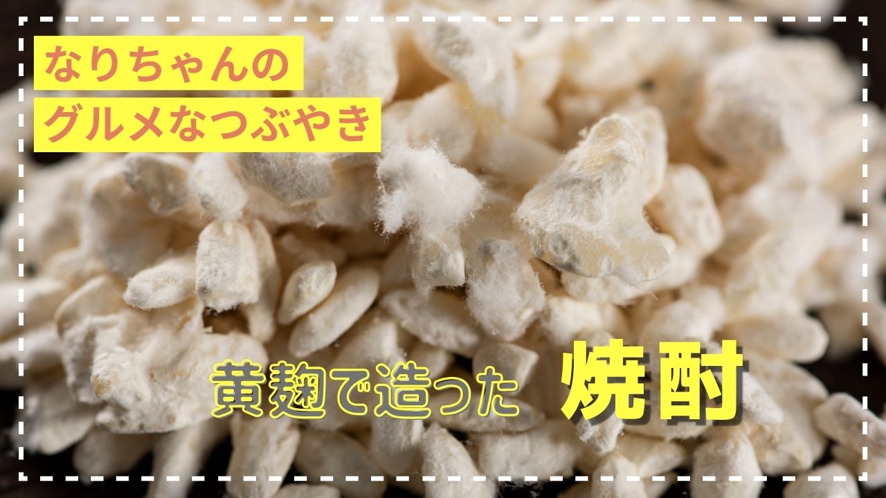 日本食になくてはならない菌「麹」