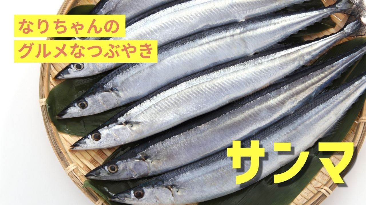 幻の「サンマ」の進化系料理が話題に！