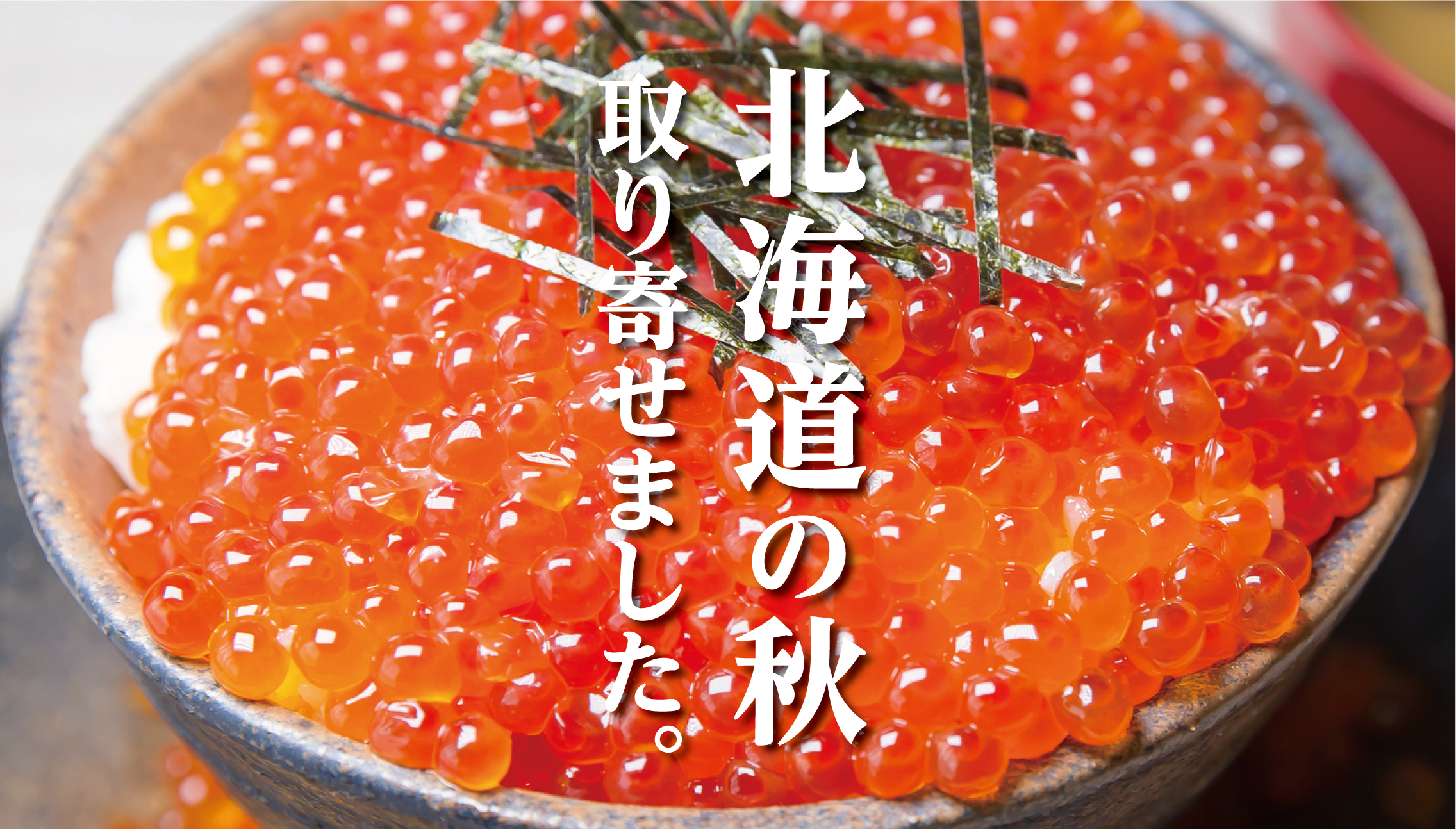 【ぷちぷち至福】北海道のいくら丼が恋しくなる理由とは？