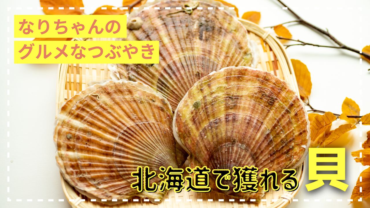 どれをとっても北海道で獲れる貝は最高！