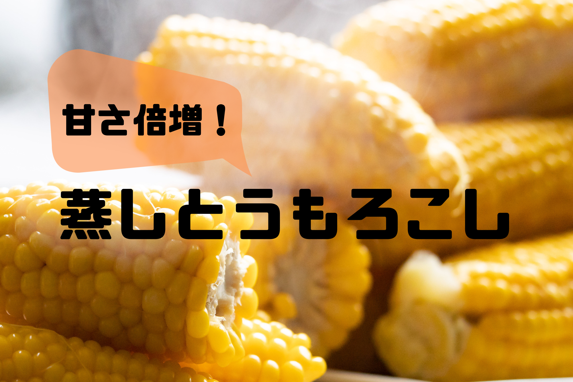 マイクロダイエットドリンクふらのメロン味14食 【公式通販】