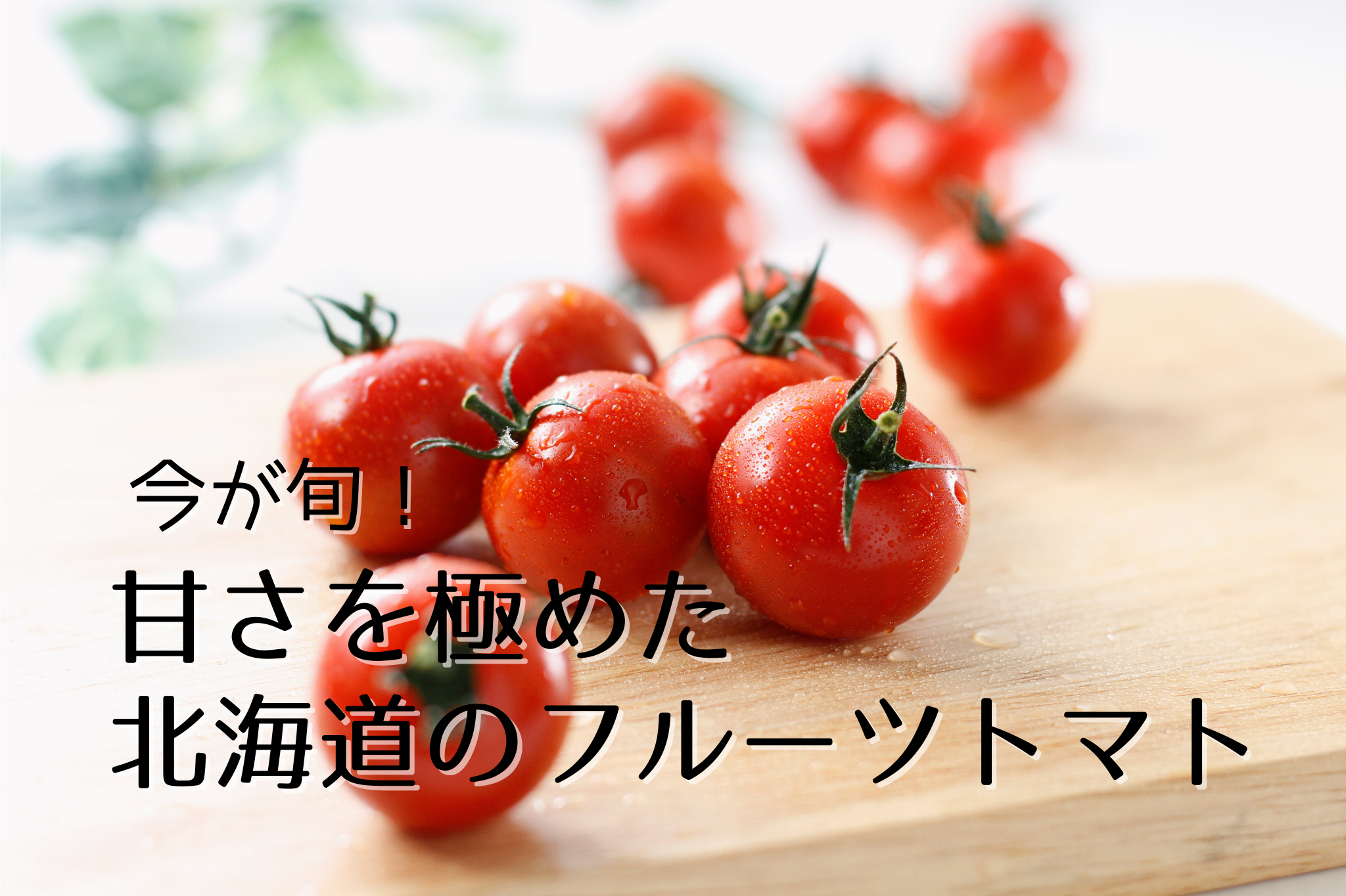 夏バテ防止効果にも期待！甘みと旨みがギュッ！北海道のフルーツトマトの旬到来