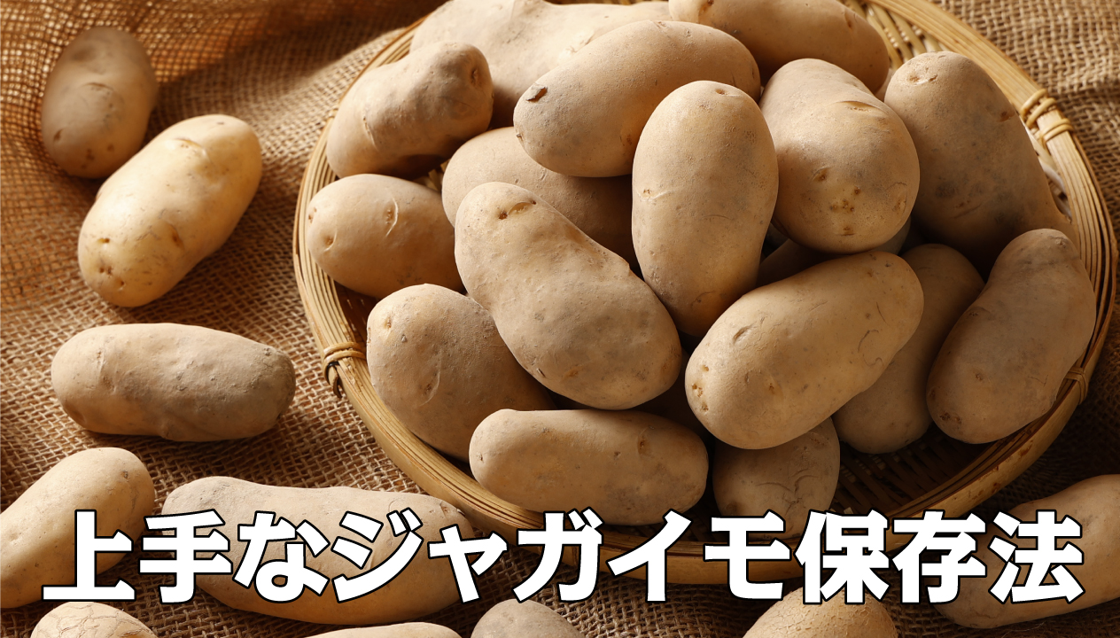 徹底解説】じゃがいもの保存方法！ 長く新鮮に食べたい | 食べレア 