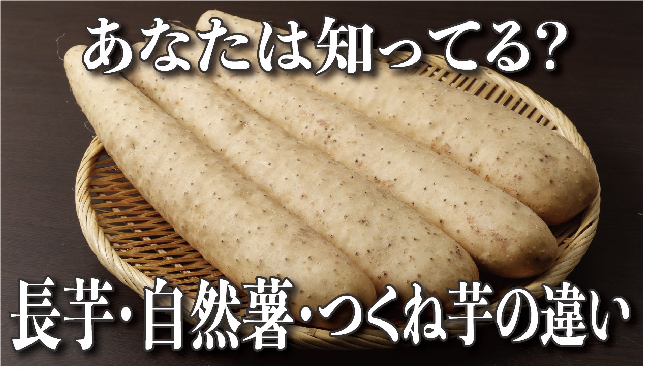 山芋や長芋、大和芋(つくねいも)の違い、それぞれの特徴-詳細なガイド | 食べレア北海道|北海道の食材お取り寄せ通販サイト