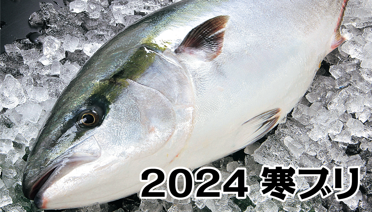 鰤(ぶり)の魅力を大公開! 旬、栄養、価格、調理法までワクワク解説 - 旬の食材の調理法や保存方法で、おうちごはんがもっと美味しくなる!