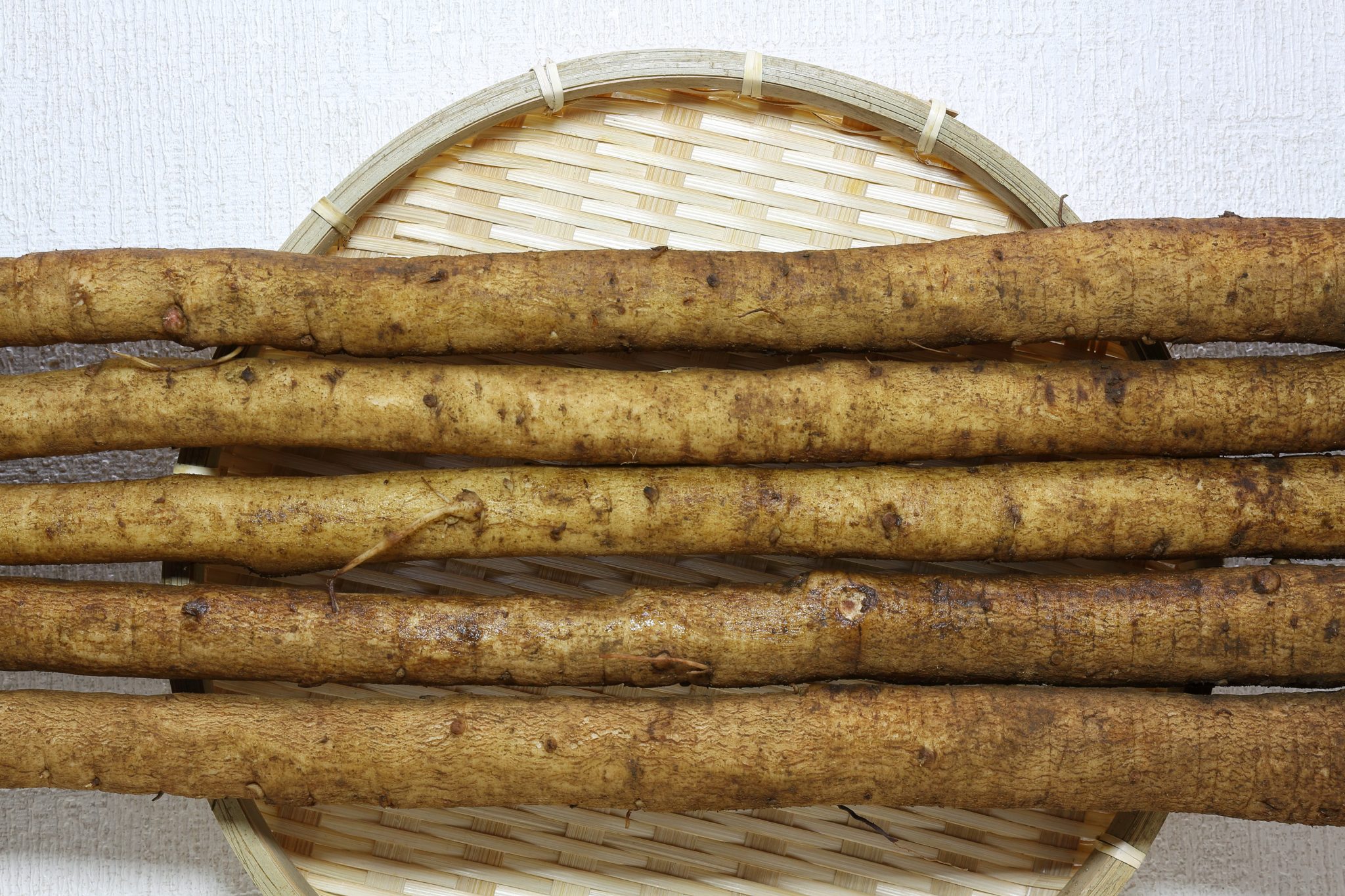 春ゴボウの完全ガイド:栄養、調理法、保存技術から越冬栽培まで | 食べレア北海道|北海道の食材お取り寄せ通販サイト