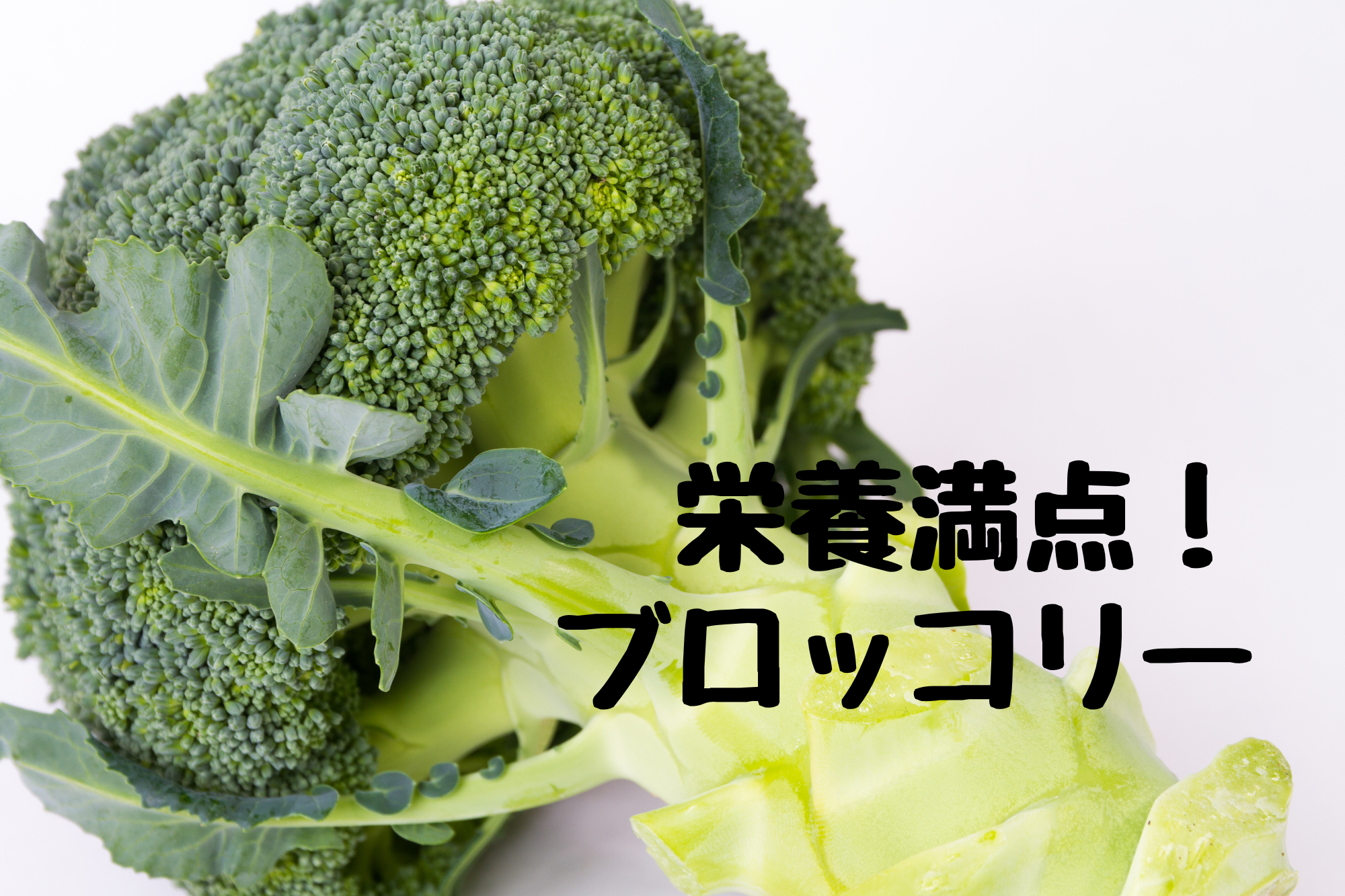 北海道はブロッコリーの生産量日本1位！「指定野菜」に追加