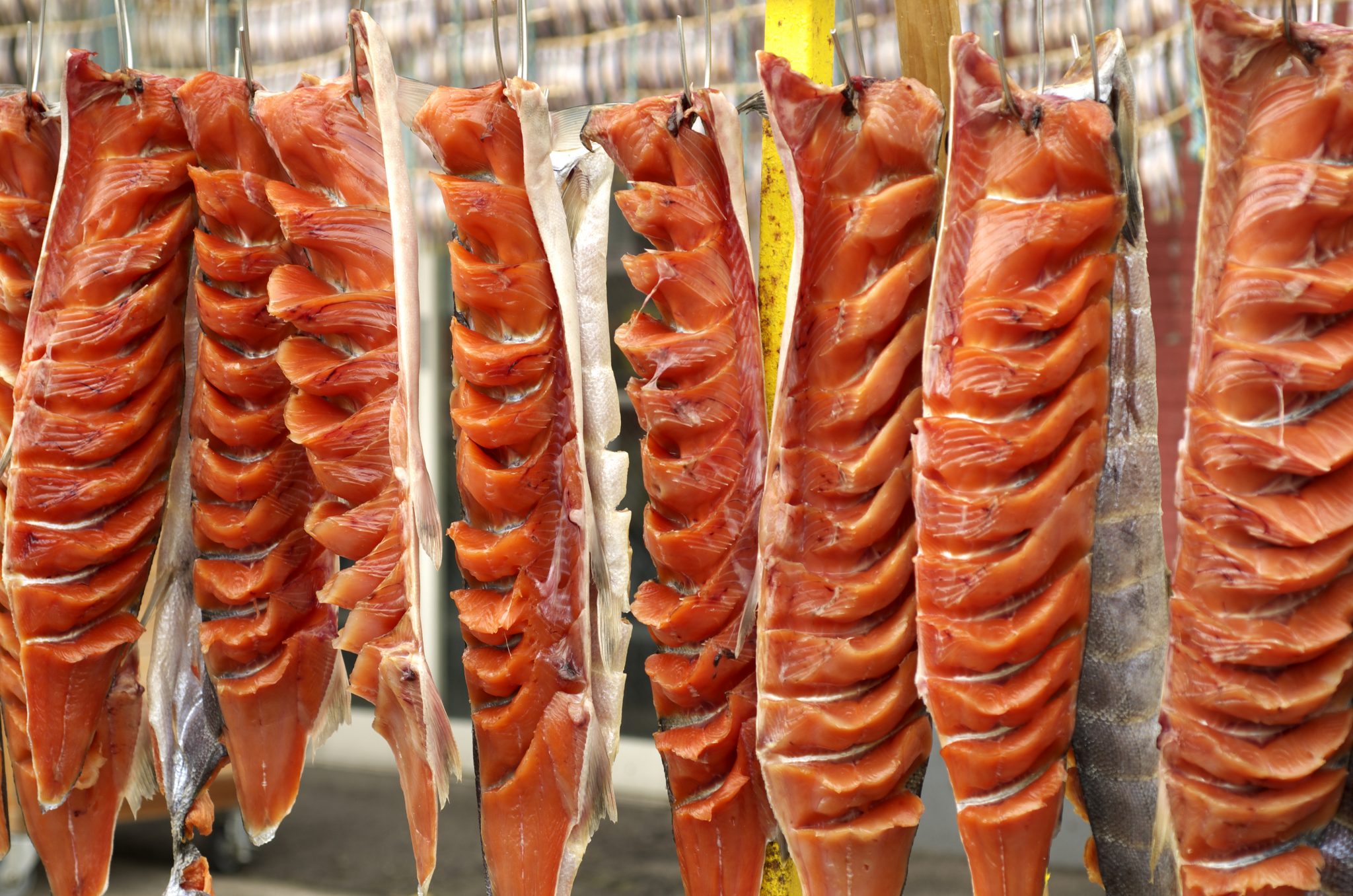 鮭と鱒の違いを知って、毎日の食卓を豊かに | 食べレア北海道|北海道の食材お取り寄せ通販サイト