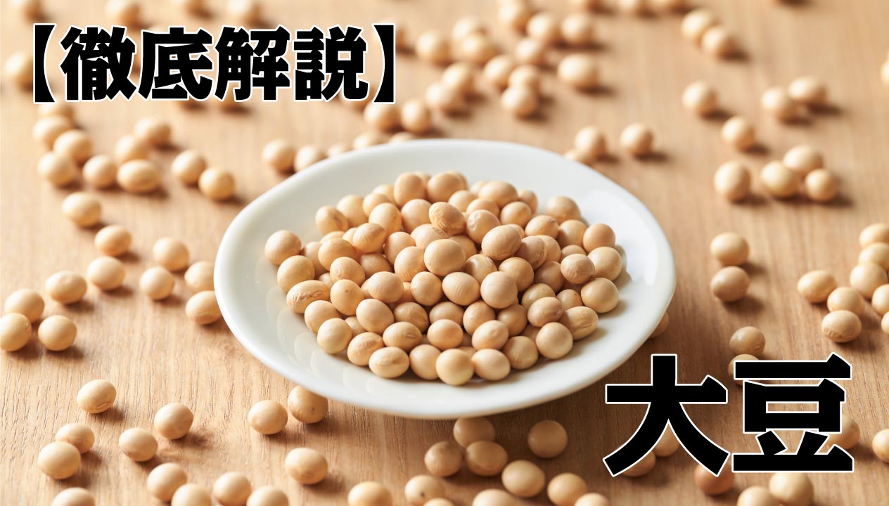 大豆の全貌を解説！持続可能な食文化の鍵