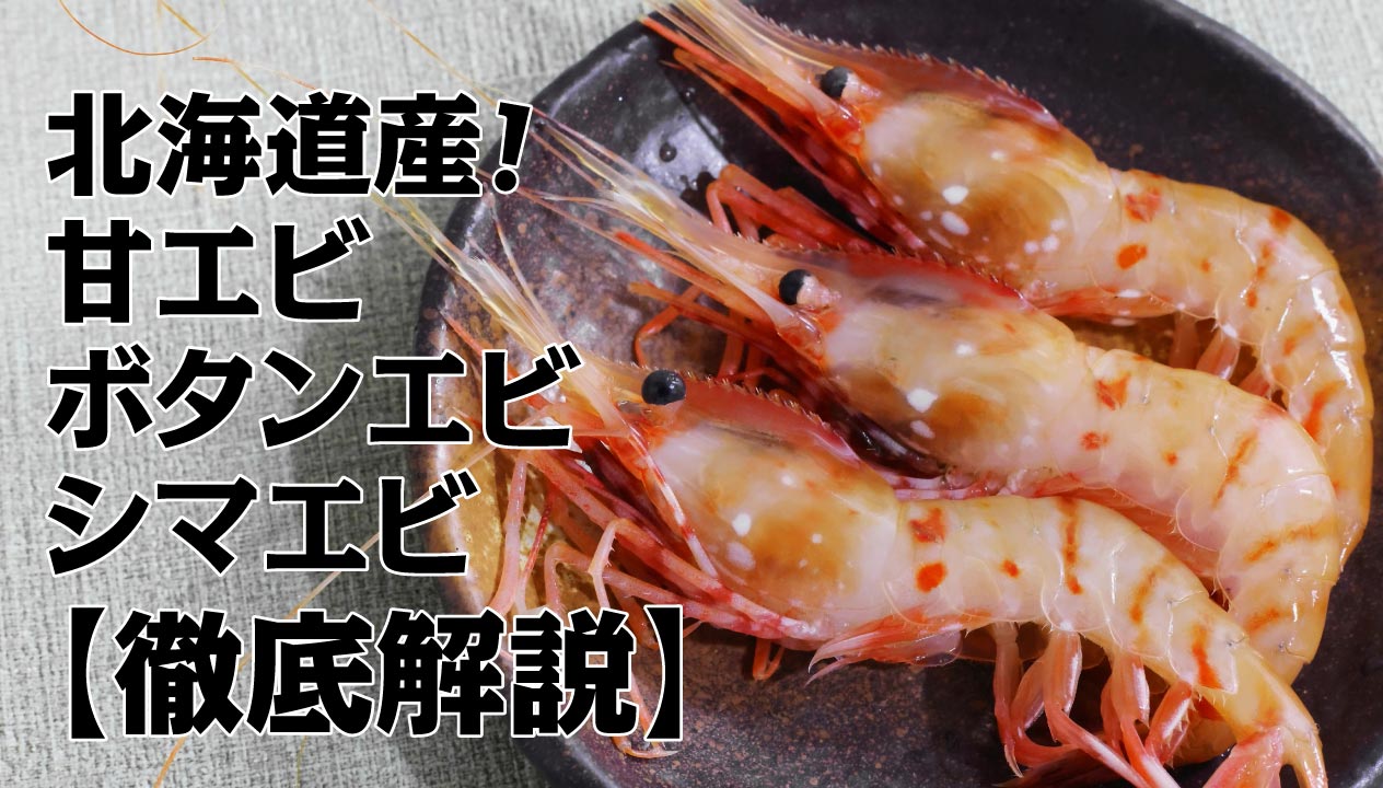 北海道の海が育む絶品エビ：甘エビ、ボタンエビ、北海シマエビの徹底解説