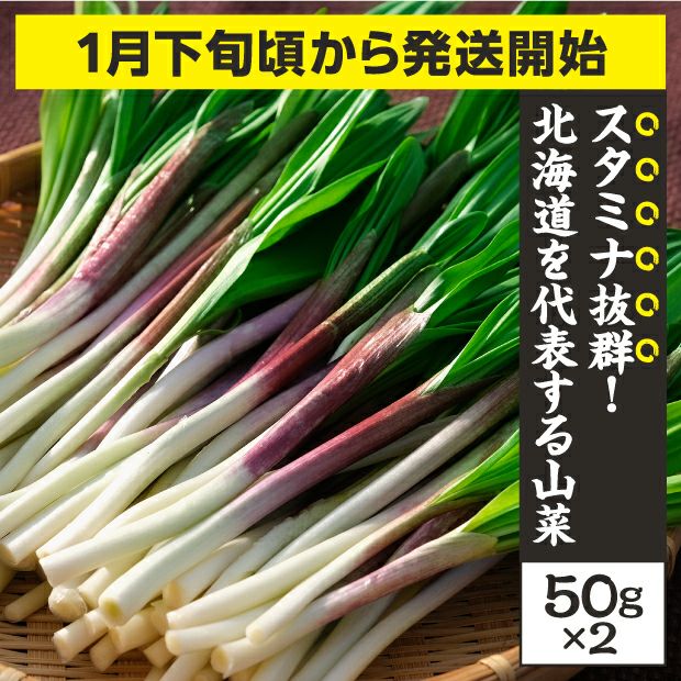 北海道産行者にんにく春苗500本 【公式通販】