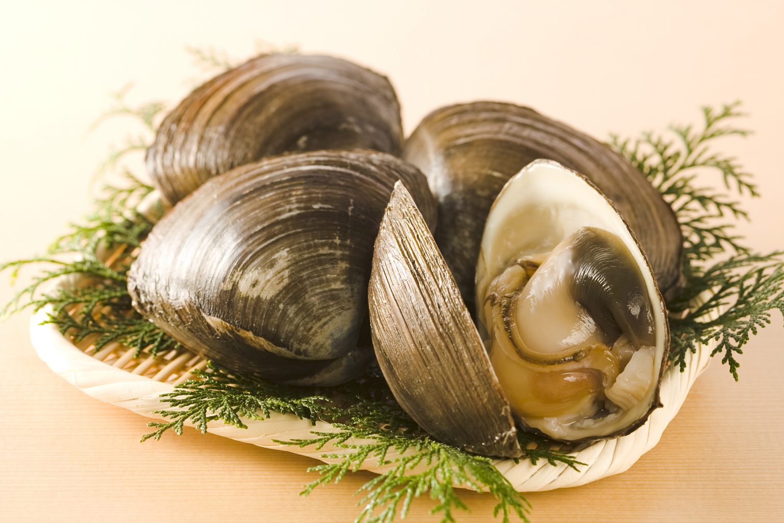 北の海が育てた天然の恵み:ホッキ貝の魅力と美味しさを徹底解説 | 食べレア北海道|北海道の食材お取り寄せ通販サイト