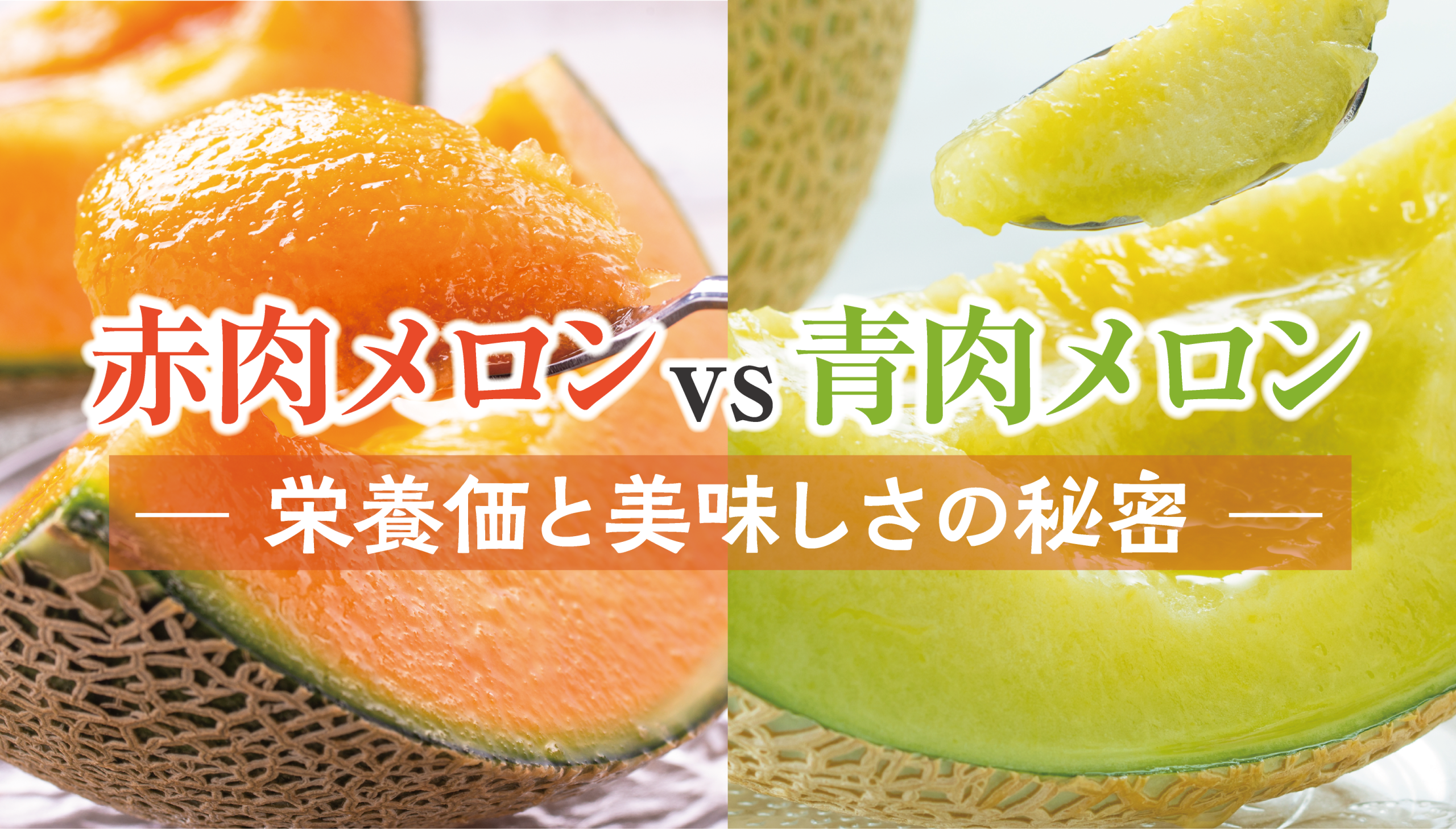メロン選びの決定版!赤肉メロンと青肉メロンで迷っている方必見!~美味しさと栄養の秘密~
