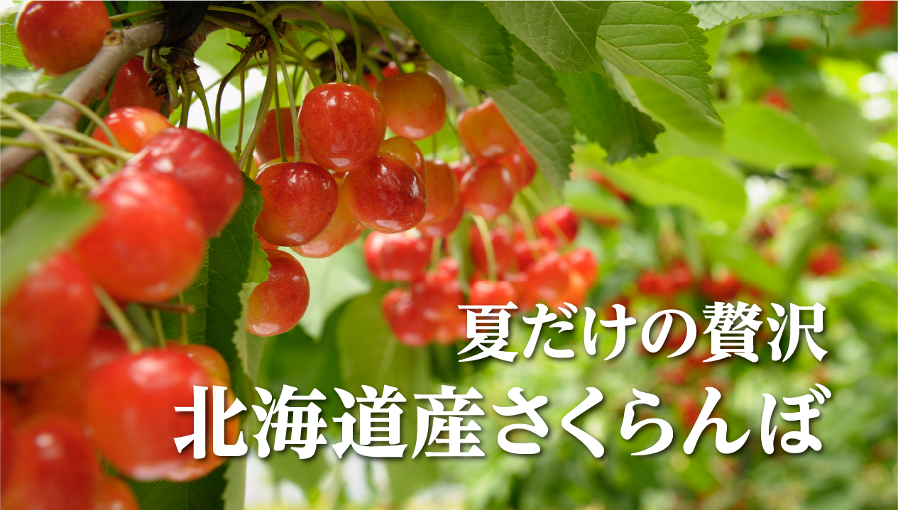 北海道産さくらんぼはなぜ美味しい？旬の甘さとおすすめレシピ・保存方法を紹介