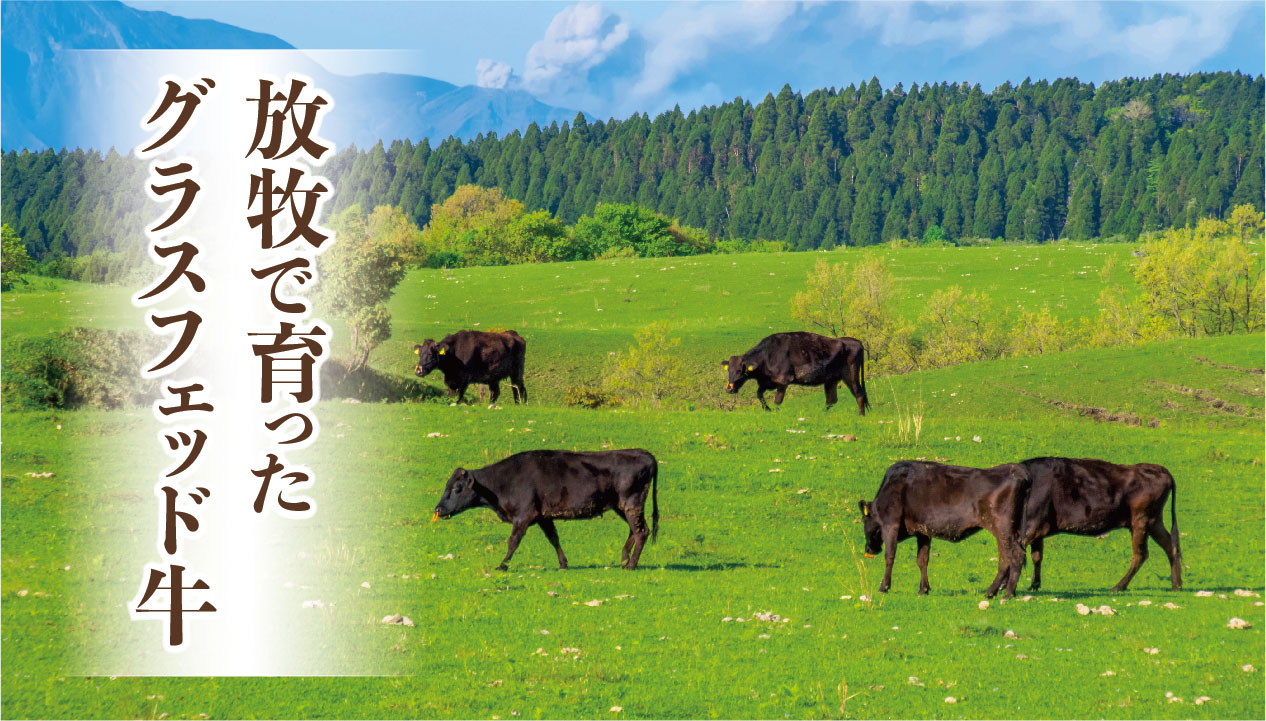 グラス フェッド と は