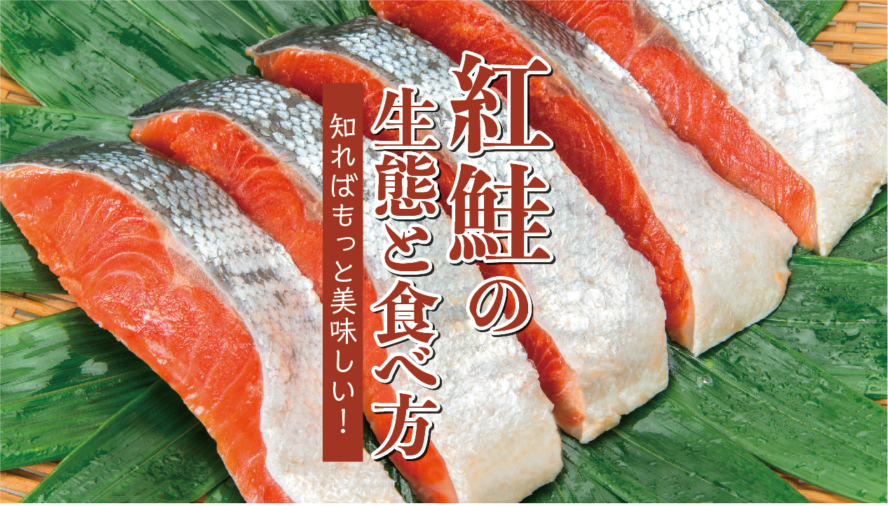養殖困難なベニザケの魅力と美味しい食べ方 | 食べレア北海道|北海道の食材お取り寄せ通販サイト
