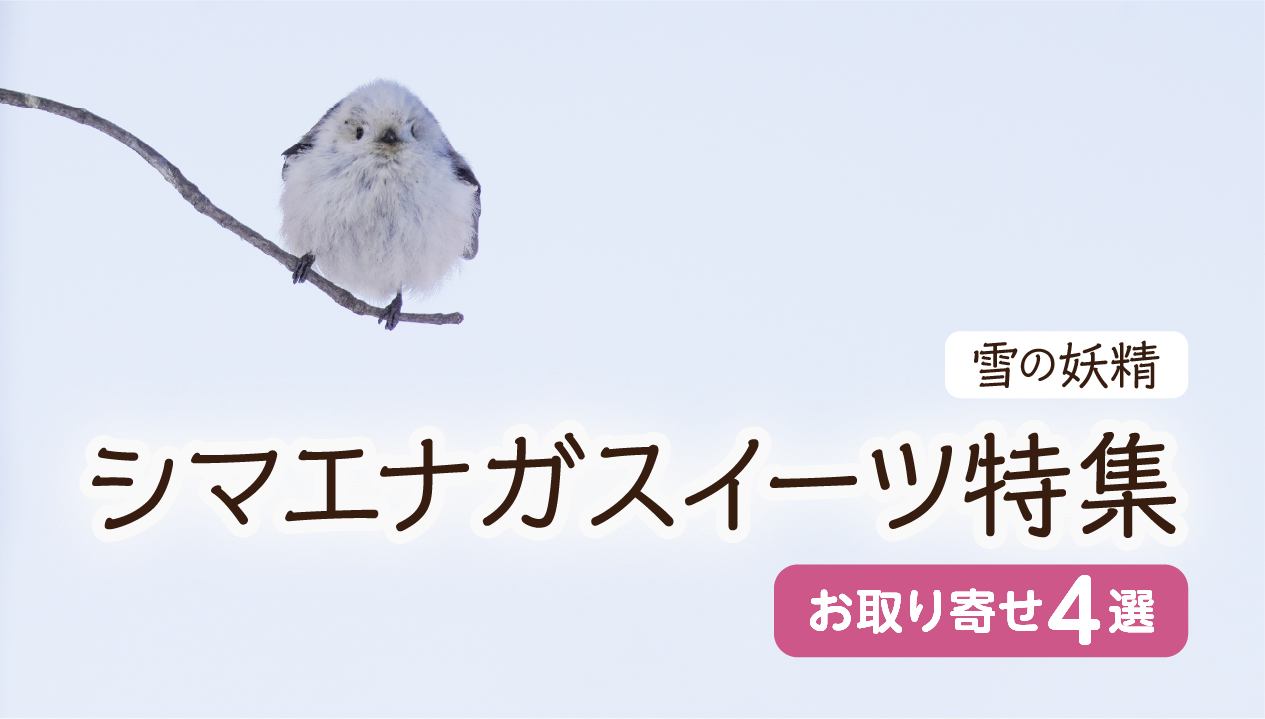 【シマエナガスイーツ特集】北海道の“かわいい”が届く！お取り寄せで楽しむ人気4選