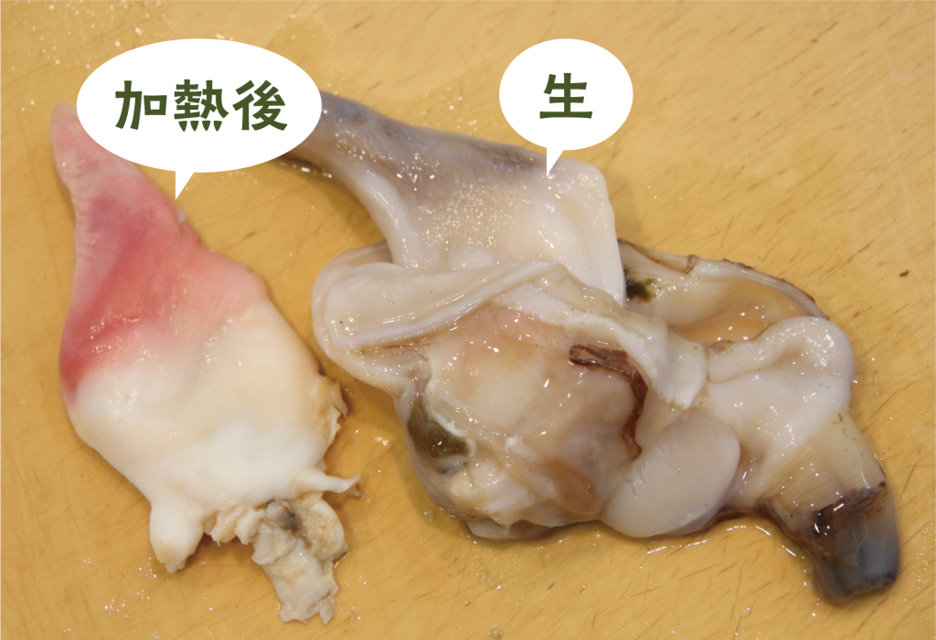 北の海が育てた天然の恵み:ホッキ貝の魅力と美味しさを徹底解説 | 食べレア北海道|北海道の食材お取り寄せ通販サイト
