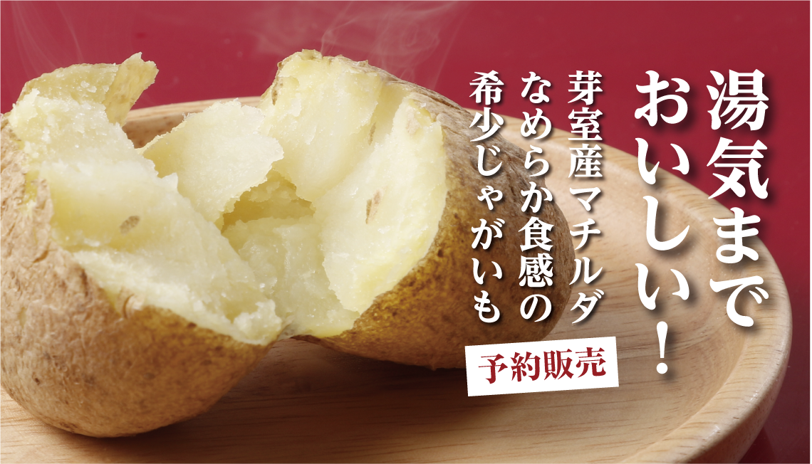 希少品種「マチルダ」予約開始！芽室発・なめらか食感のじゃがいも 