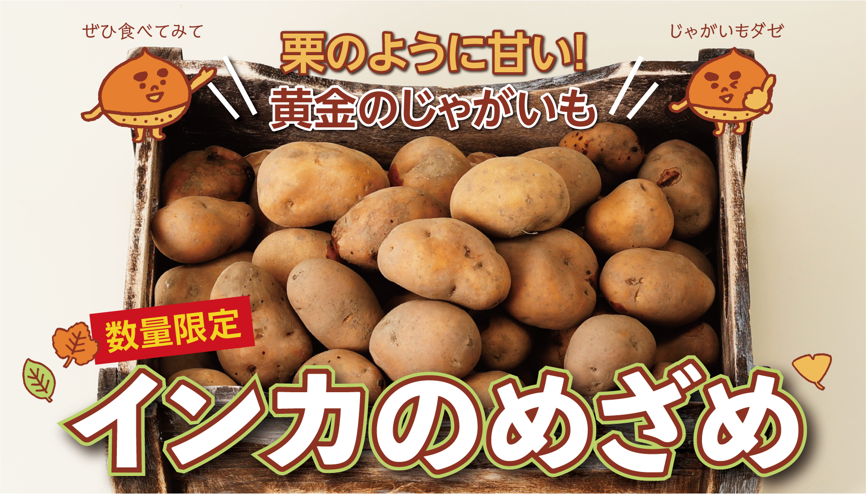 希少な甘さ!剣淵産「インカのめざめ」の魅力とおすすめ活用法