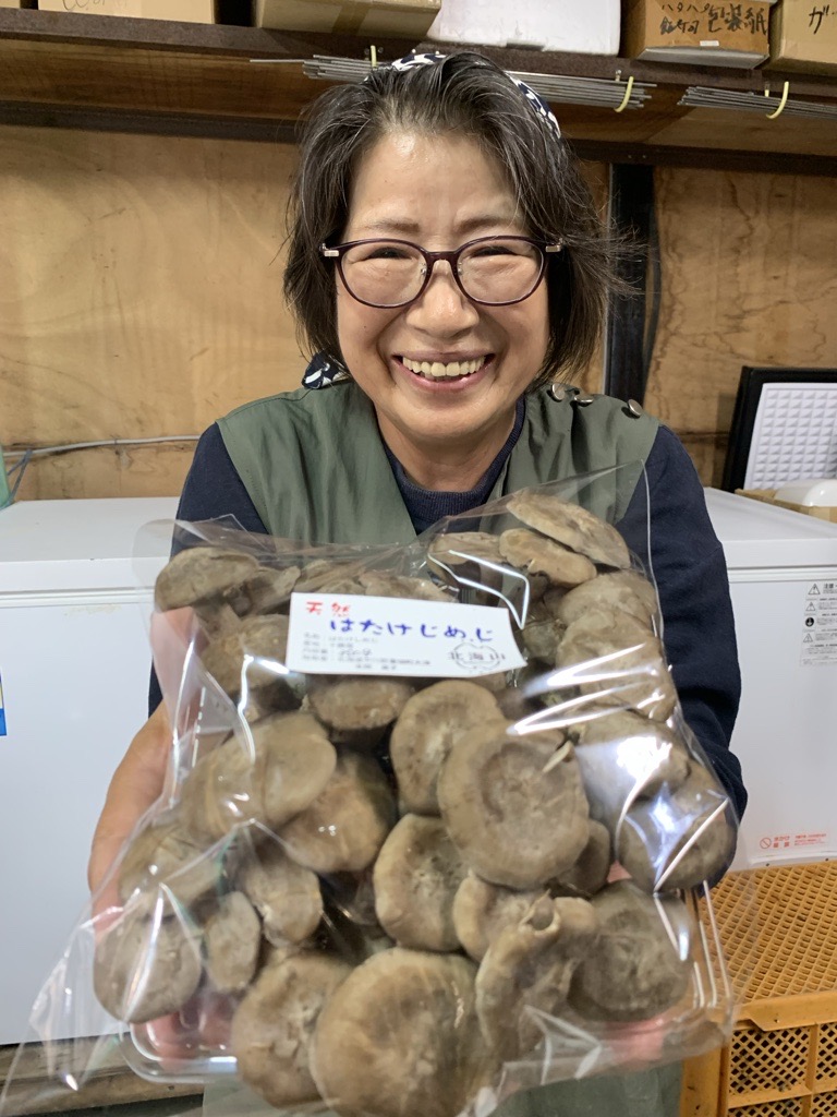 天然キノコ ハタケシメジ　約1kg 北海道産天然ハタケシメジとは？スーパーのしめじとの違い・味・食感