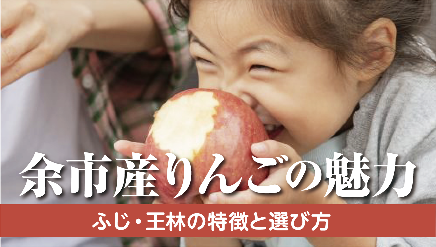 余市産リンゴの魅力を徹底解説！ふじ・王林で味わう「発祥の地」の誇り