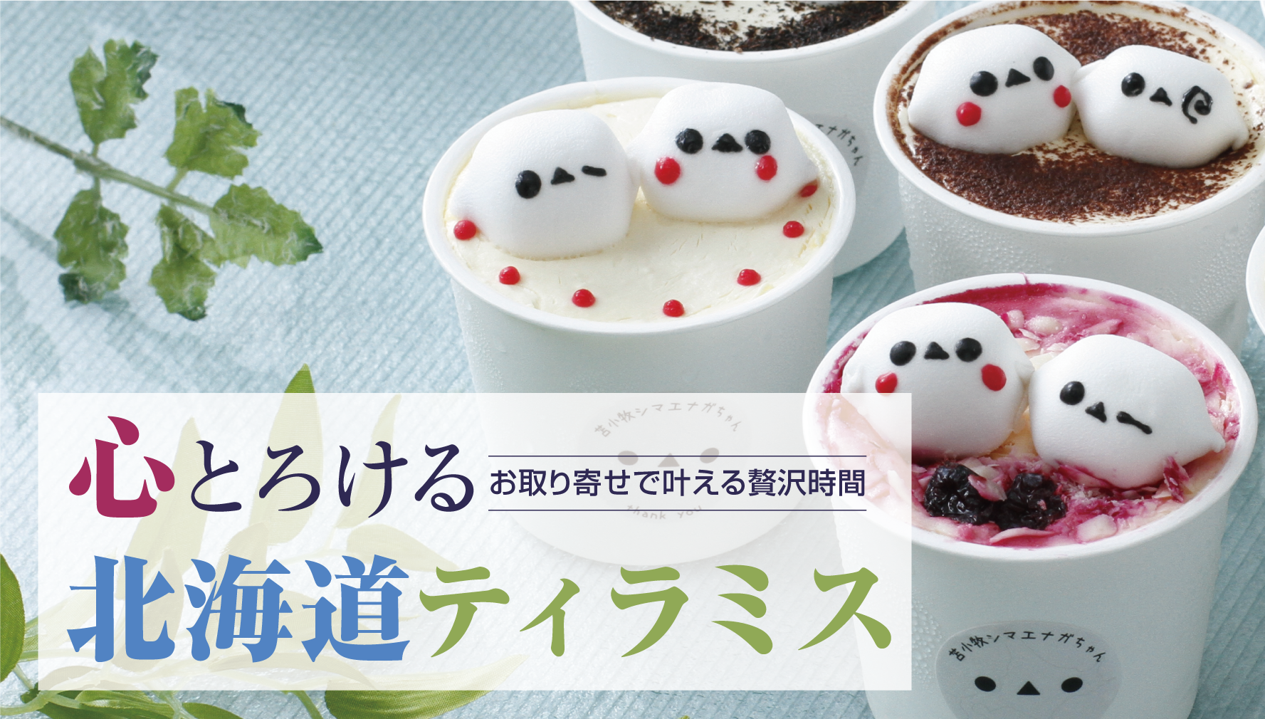 ご褒美スイーツ！北海道産素材で進化するティラミス