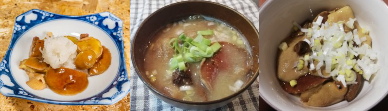 2025年は豊作！北海道の落葉きのこ「ハナイグチ」の魅力と食べ方