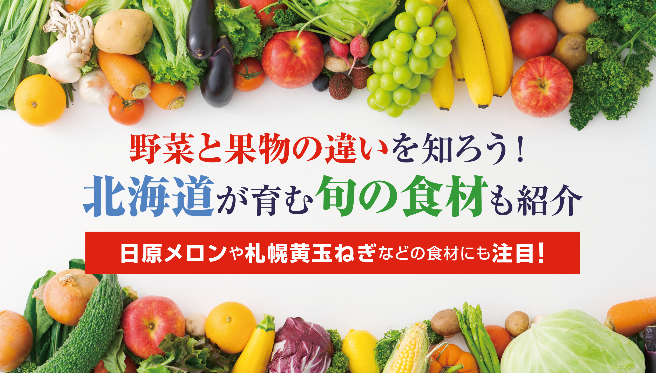 メロンは果物?野菜?北海道の旬食材とQ&A20選で徹底解説