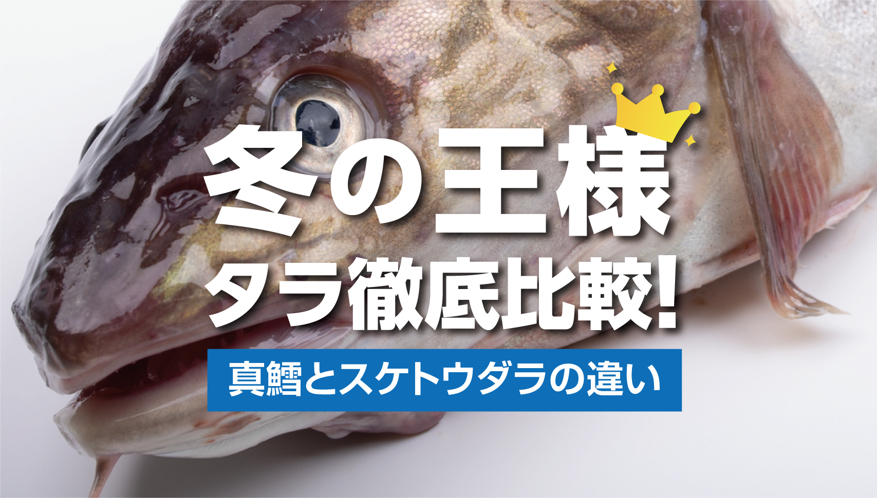 真鱈とスケトウダラ（スケソウダラ）の違いとは？特徴・歴史・活用法まとめ【北海道グルメ】