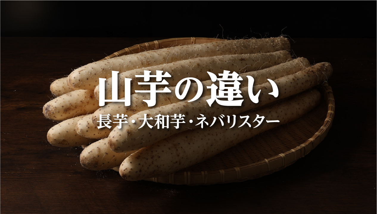 山芋・長芋・大和芋の違いを徹底解説：用途別の選び方・保存方法・FAQつき【北海道産長いもガイド】