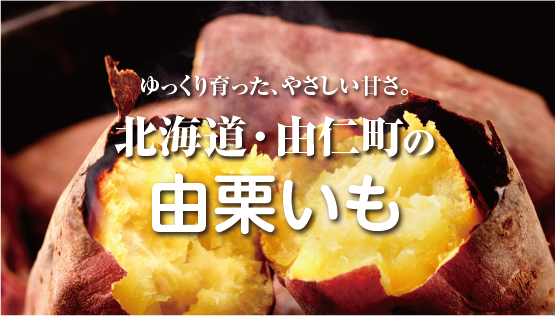 由栗いも（ゆっくりいも）とは？北海道でゆっくり育つ、甘くてしっとりのさつまいも