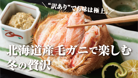 北海道産訳あり毛ガニ：脚が折れても味は折れない。家庭で楽しむ贅沢なカニ通販