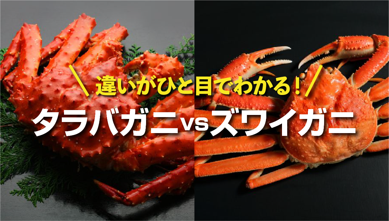 タラバガニとズワイガニは何が違う 味・食感・選び方を初心者にもわかりやすく解説 北海道スタッフが厳選の商品情報あり 北海道の食材お取り寄せ通販サイト