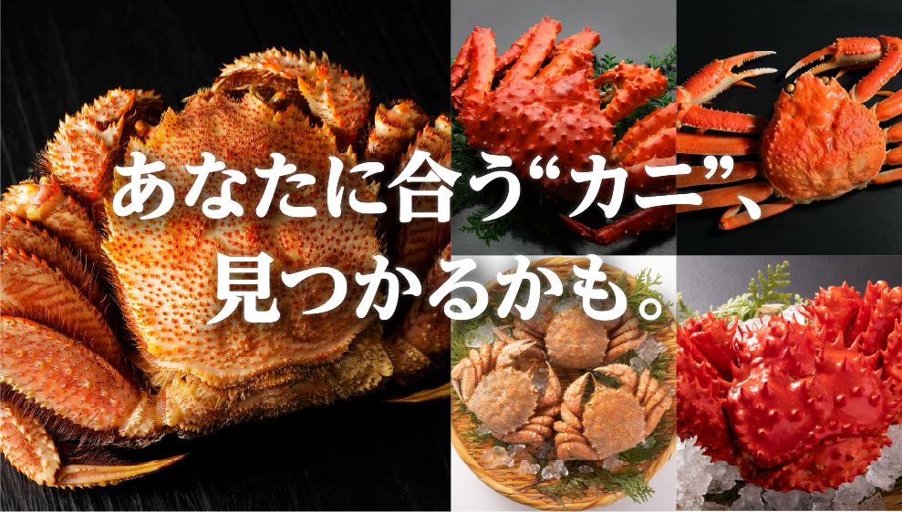 北海道のカニ種類を徹底比較：失敗しない選び方ガイド