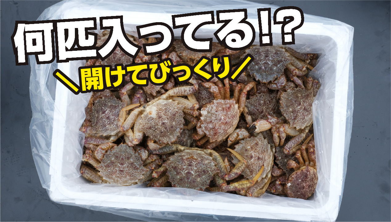知らないと損】クリガニとは？旬はいつ？毛ガニとの違いと“ワクワク 