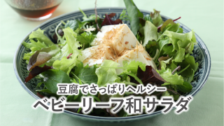 手摘みプレミアムベビーリーフ