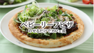 手摘みプレミアムベビーリーフ