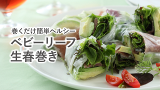 手摘みプレミアムベビーリーフ