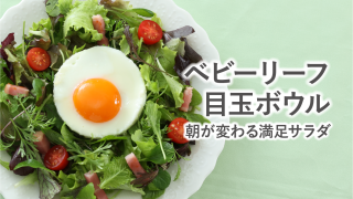 手摘みプレミアムベビーリーフ