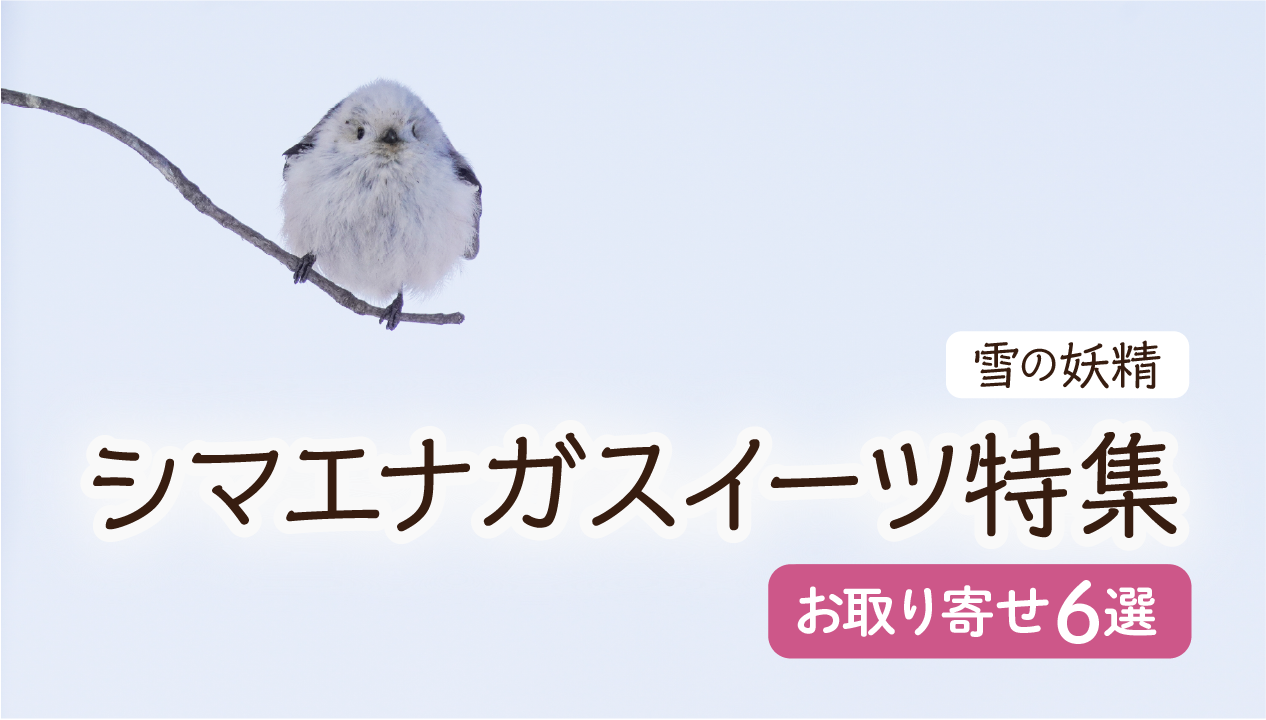 【シマエナガスイーツ特集】北海道の“かわいい”が届く！お取り寄せで楽しむ人気6選