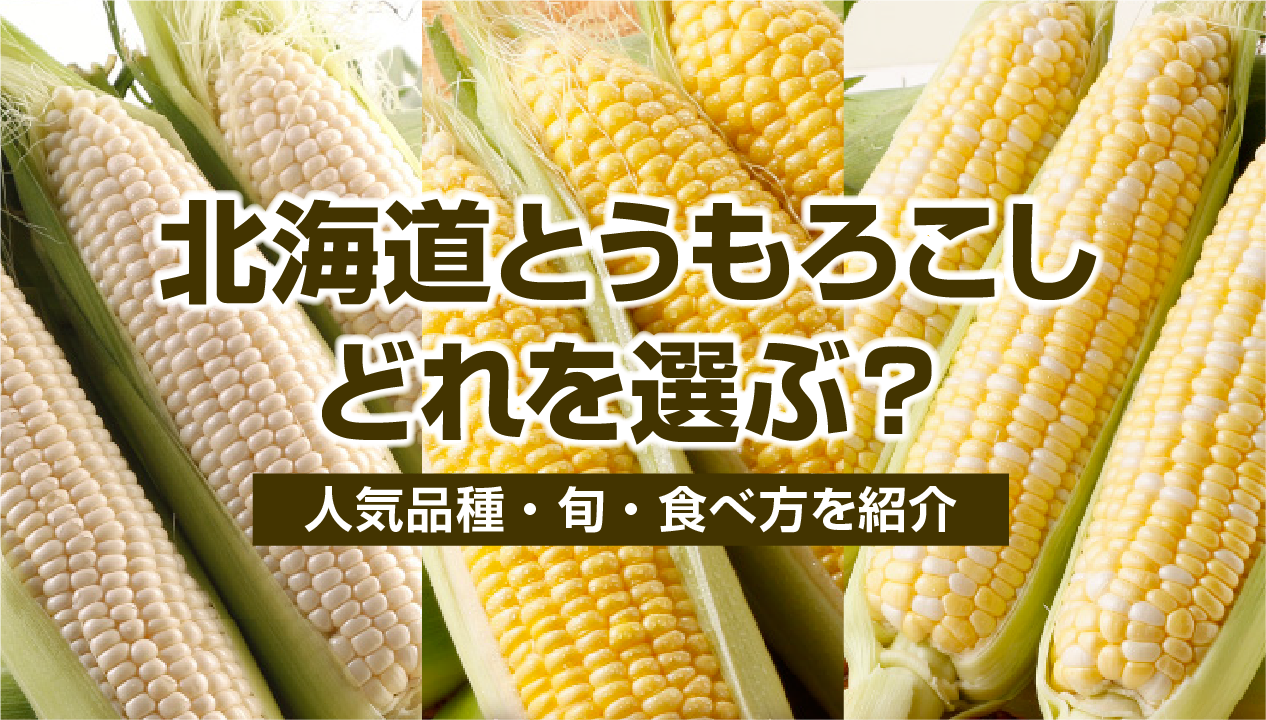 2026年版：北海道とうもろこしの旬が来る！人気品種・甘い品種・おいしい食べ方を徹底紹介